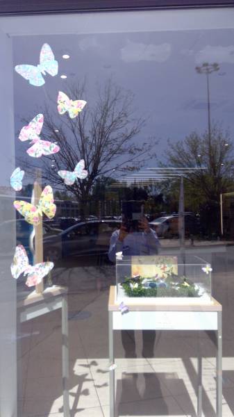 Lunettes solaires de marque Atol Opticien Bordeaux Longchamp Style Lancel Lacoste Centre commercial Bordeaux Lac